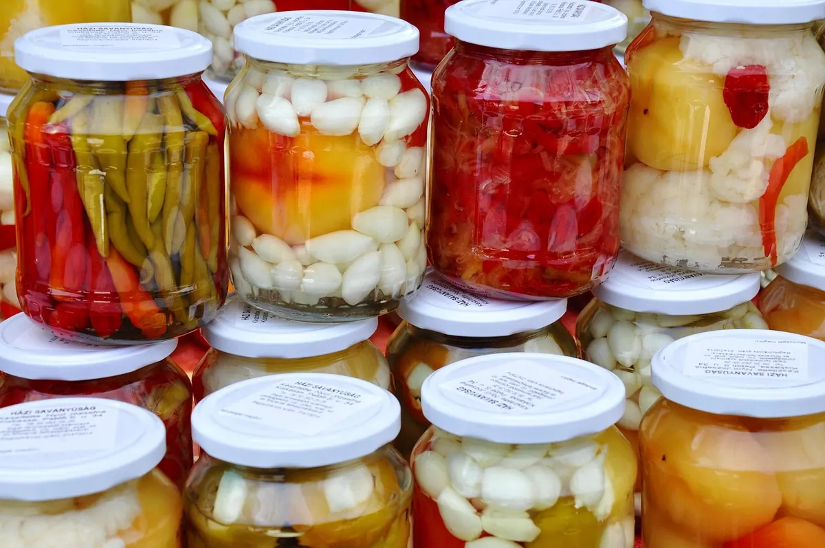 Fermented Foods for Gut Health: A Beginner's Explainer
